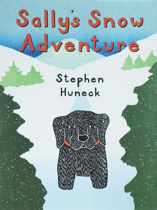 Cover image for Sally's Snow Adventure